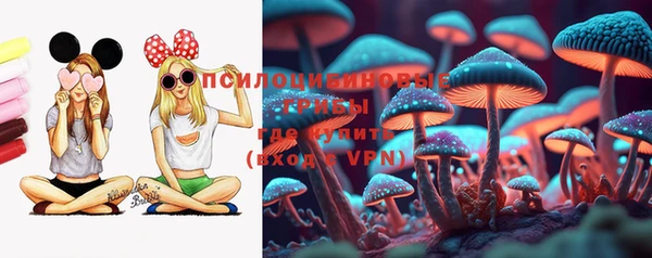 героин Алексин