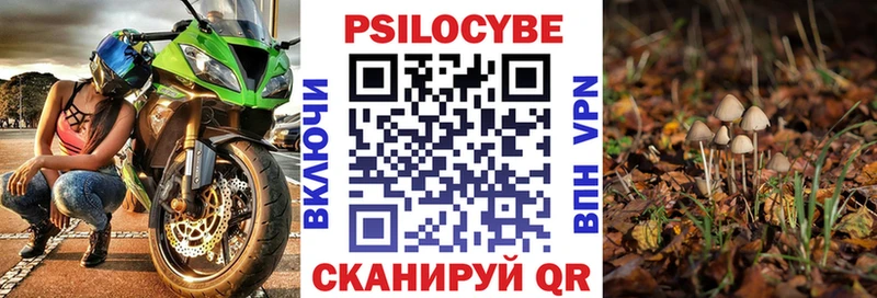 Псилоцибиновые грибы мицелий  купить наркотики цена  ссылка на мегу зеркало  Балашиха 